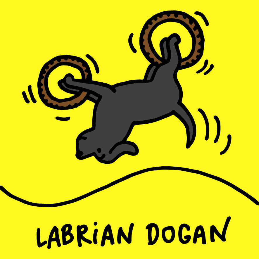Labrian Dogan skáče na motorpse.